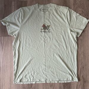 Abercrombie & Fitch Embroidered Short Sleeve Tee, Mint Green, XXL